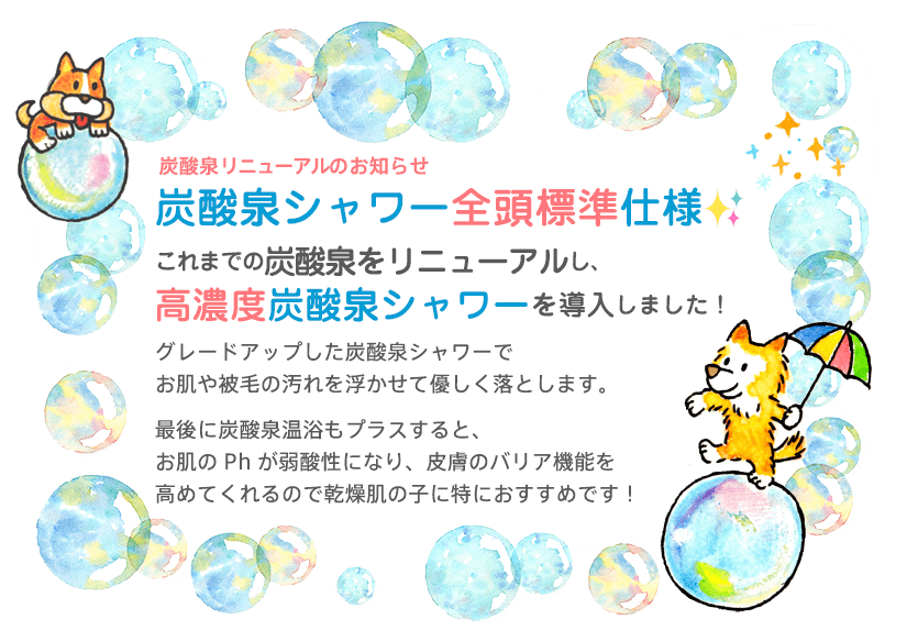 ペットサロン ダンデリオン