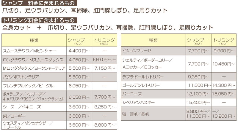 お得なセット料金