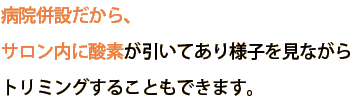 salon内にも酸素が引いてあり、様子を見ながら使用したりします。