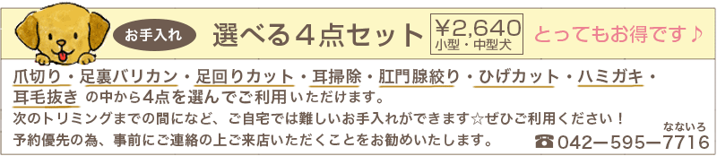 お得なセット料金